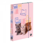 Box na zošity A4 Prémium LIGHT maznáčikovia